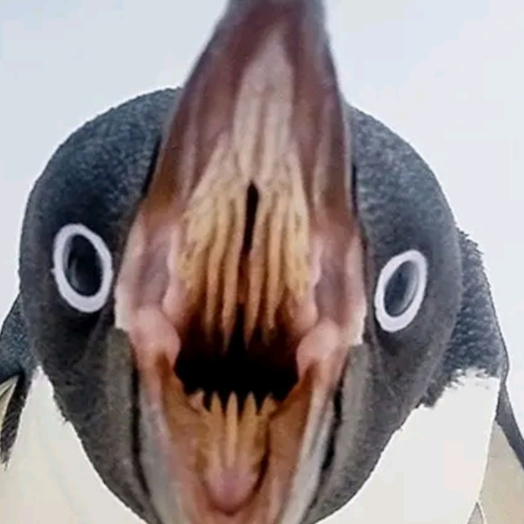 Avatar for Tobias Schroeder