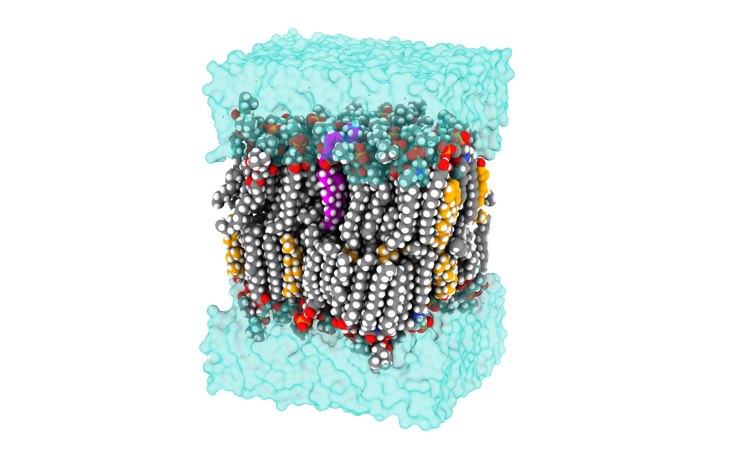 peptide_engineer's profile picture