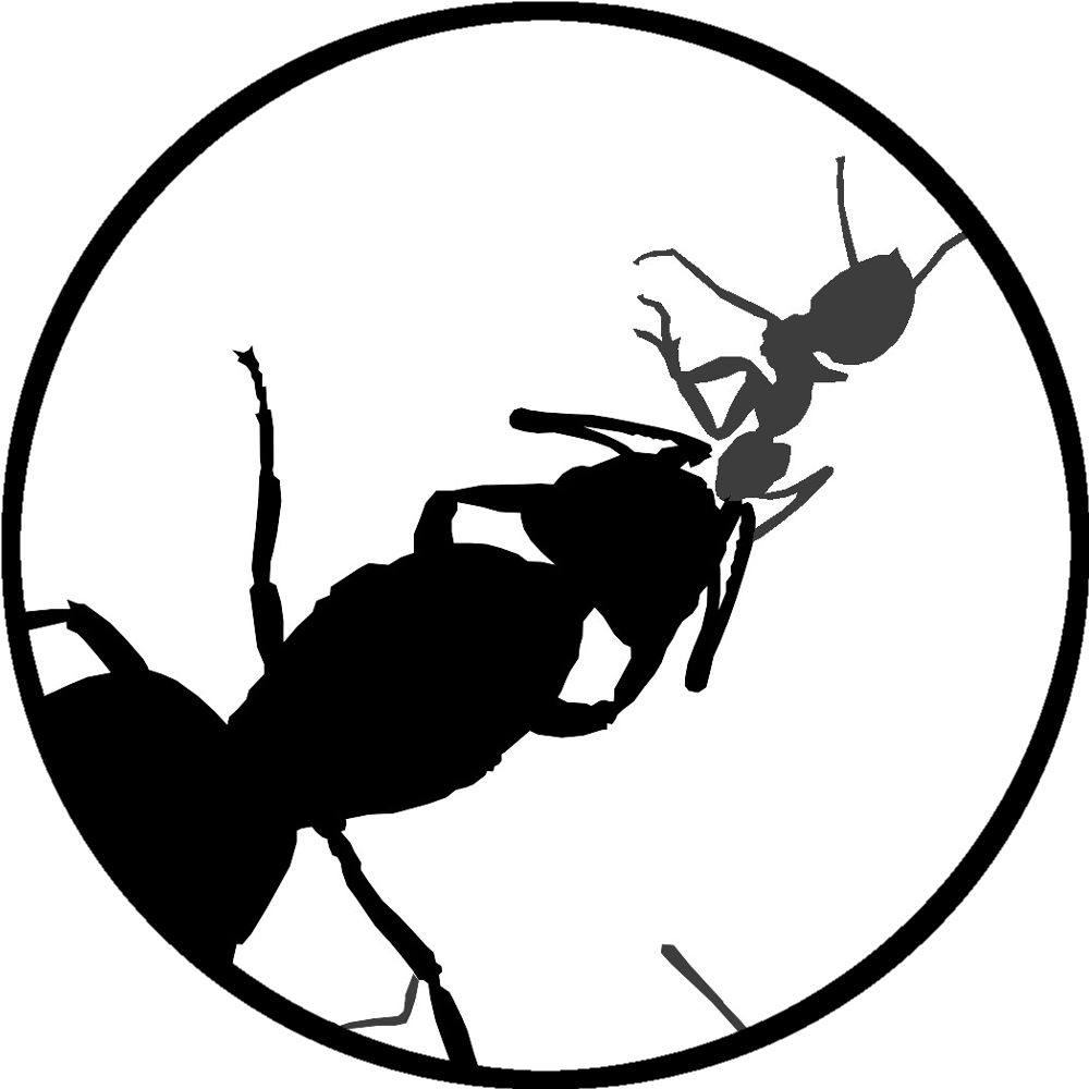 Avatar for gabsameisen