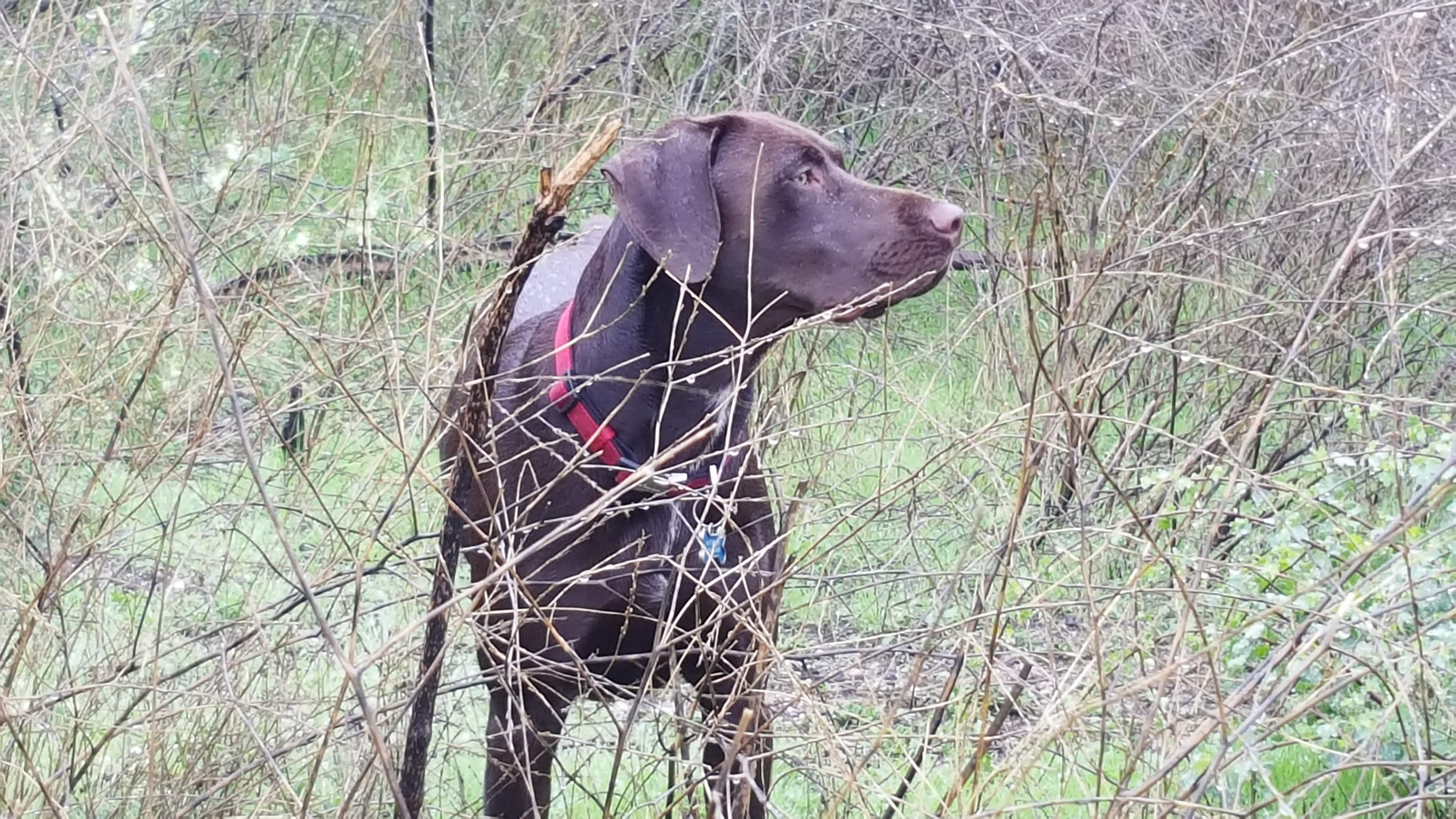 Profile picture of TLE 2026