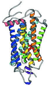 Profile picture of meatexplosion