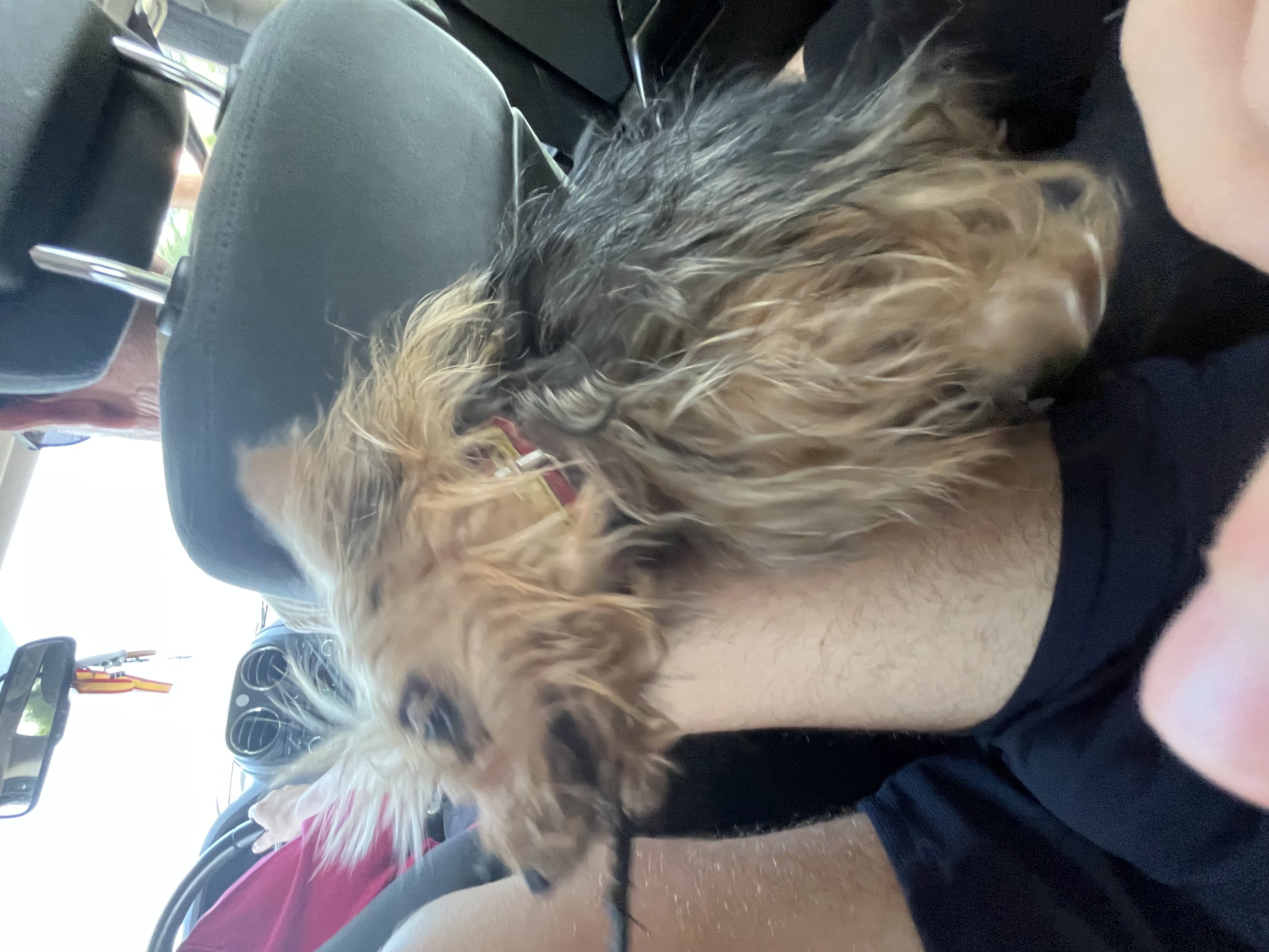 Avatar for danielrosso