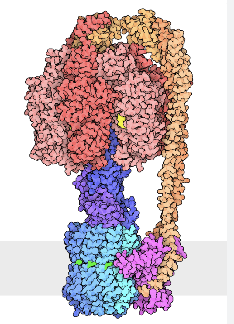 Avatar for just another protein