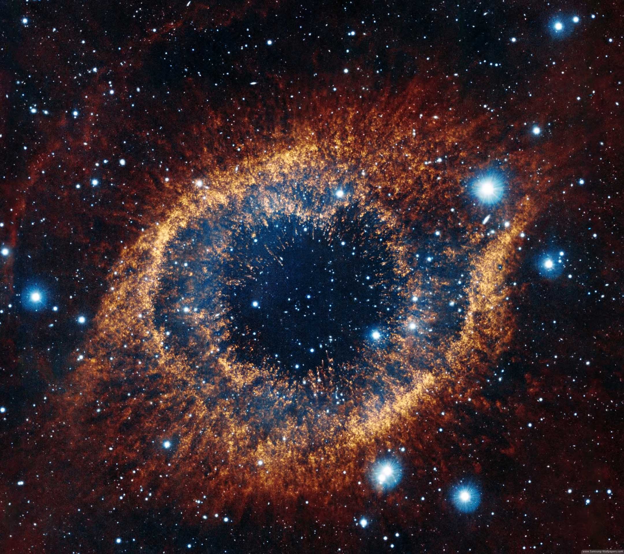 gmn's profile picture