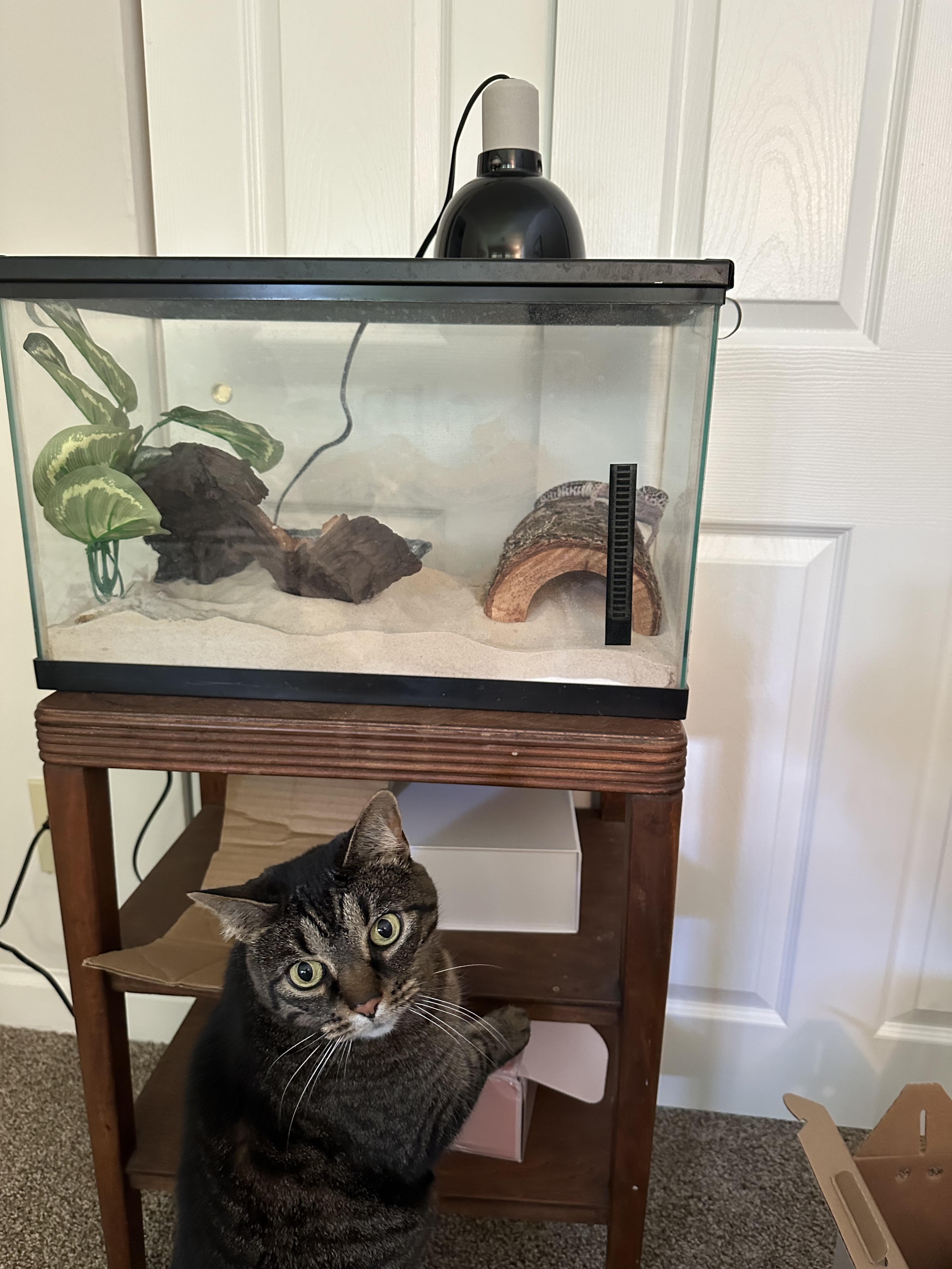 Avatar for Advanced Bio 2 MVS