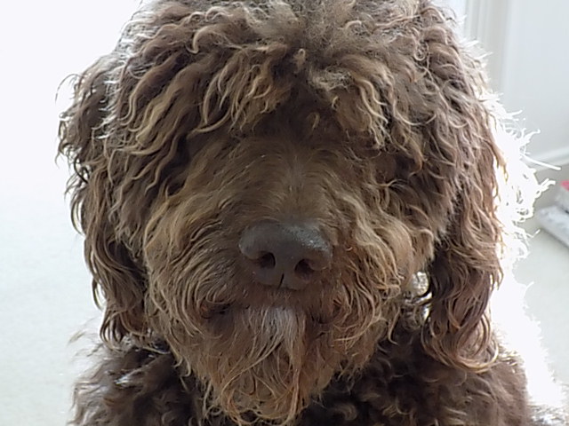 Profile picture of VA/Cali Friends