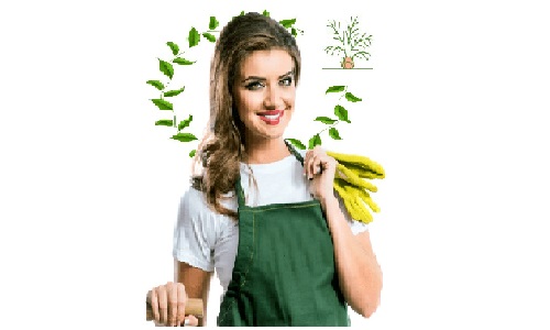 sweetvoice's profile picture