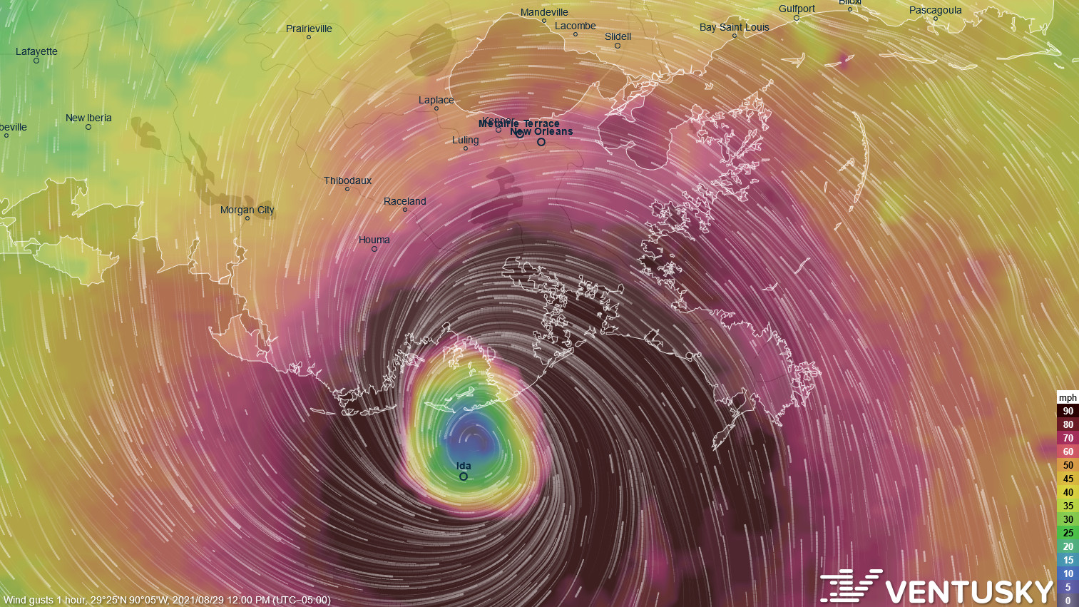 Avatar for GottaGift