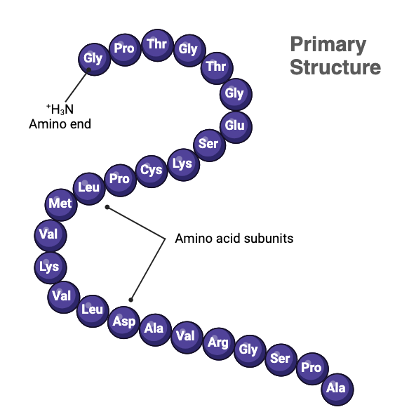 Profile picture of SJNA