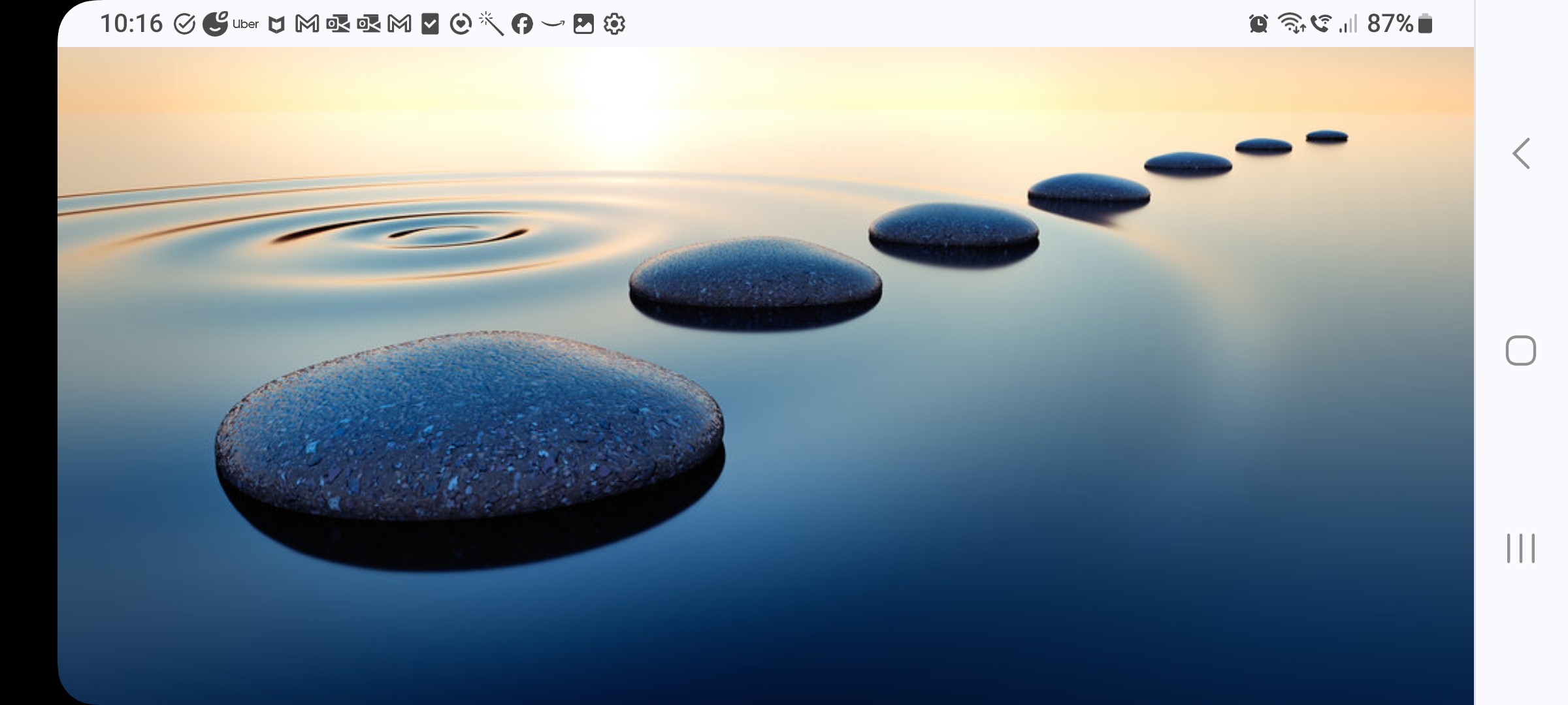 SavageM's profile picture