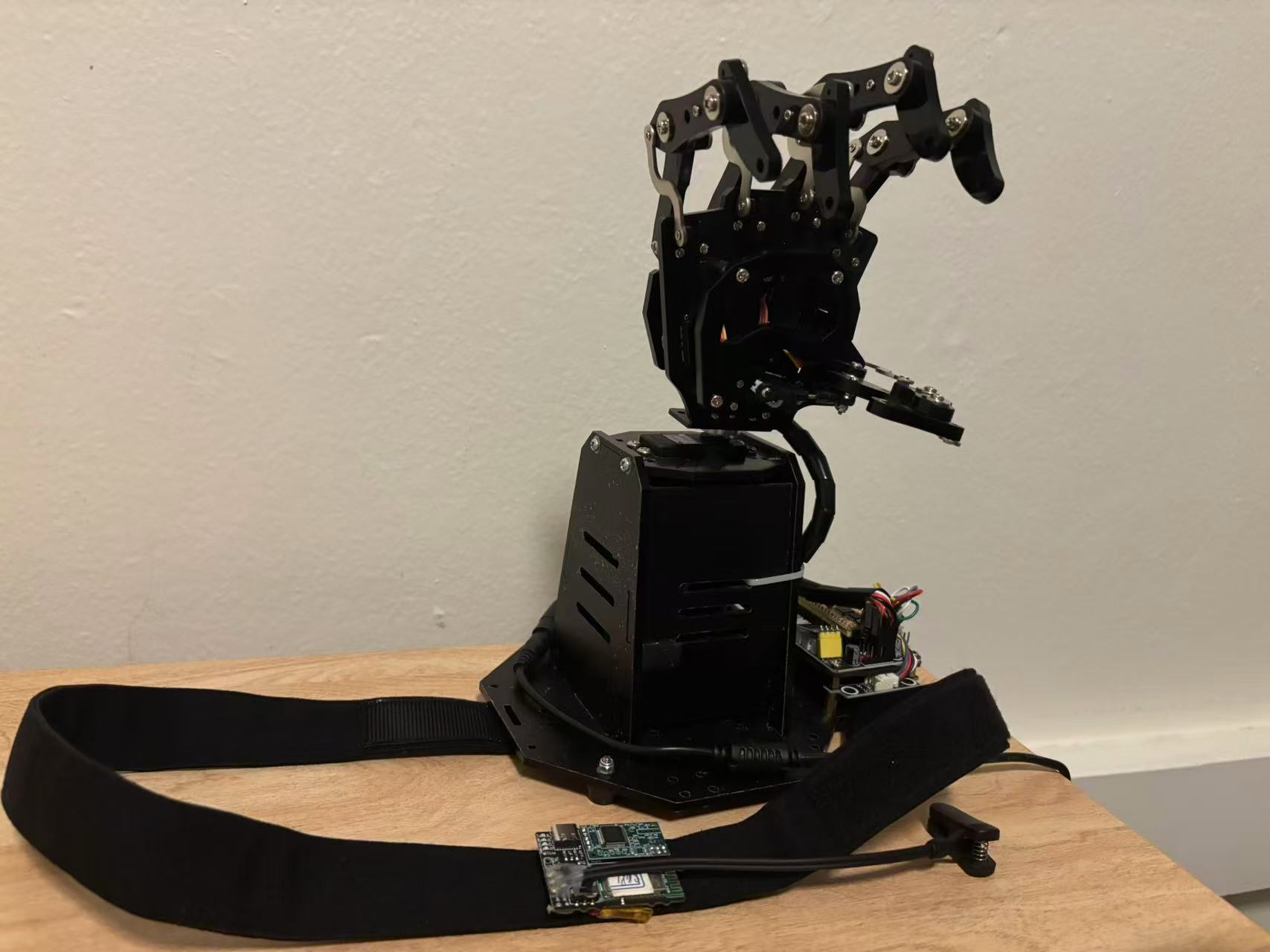 Profile picture of Synthetic Ascension