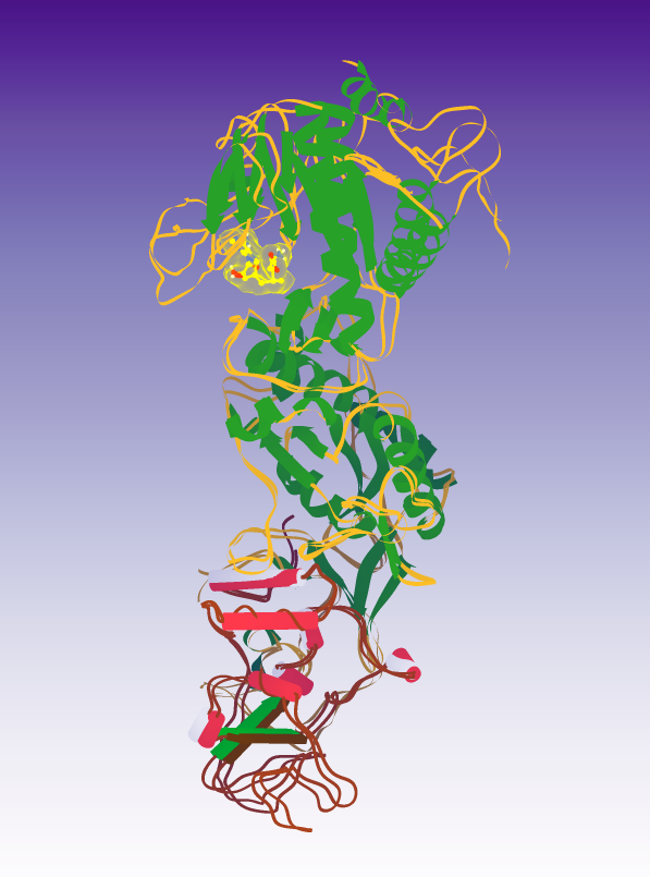 Avatar for rosie4loop