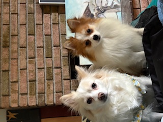 Avatar for Sweetpea81