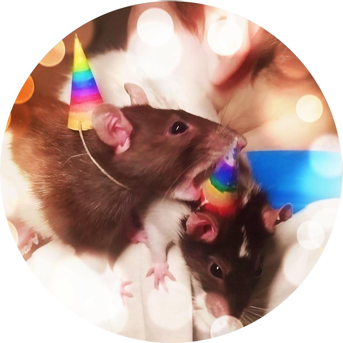 Avatar for sciencerit