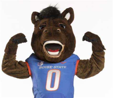 Profile picture of Biochemistry Broncos