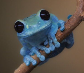 Avatar for proteinfolderpro