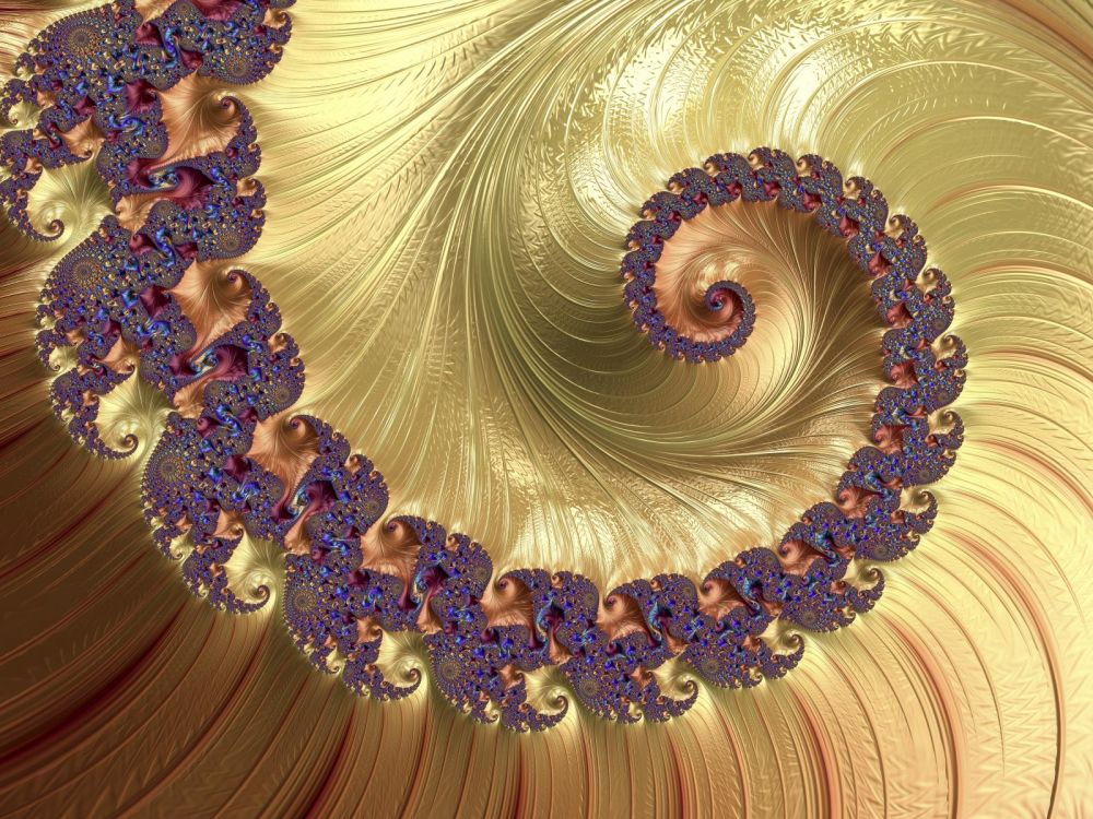 Avatar for Django Peeters