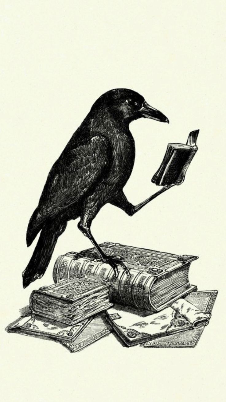 Avatar for TheBlackbird2007