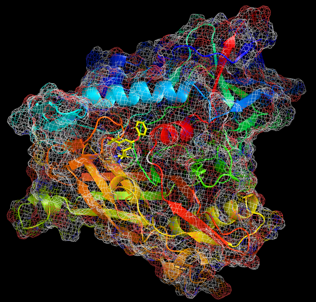 Avatar for Danila Varabyeu