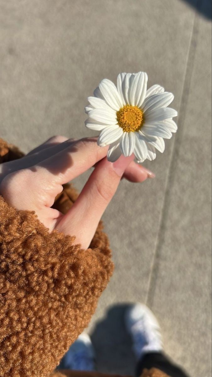 Nourhan Elbadry Mahmoud's profile picture