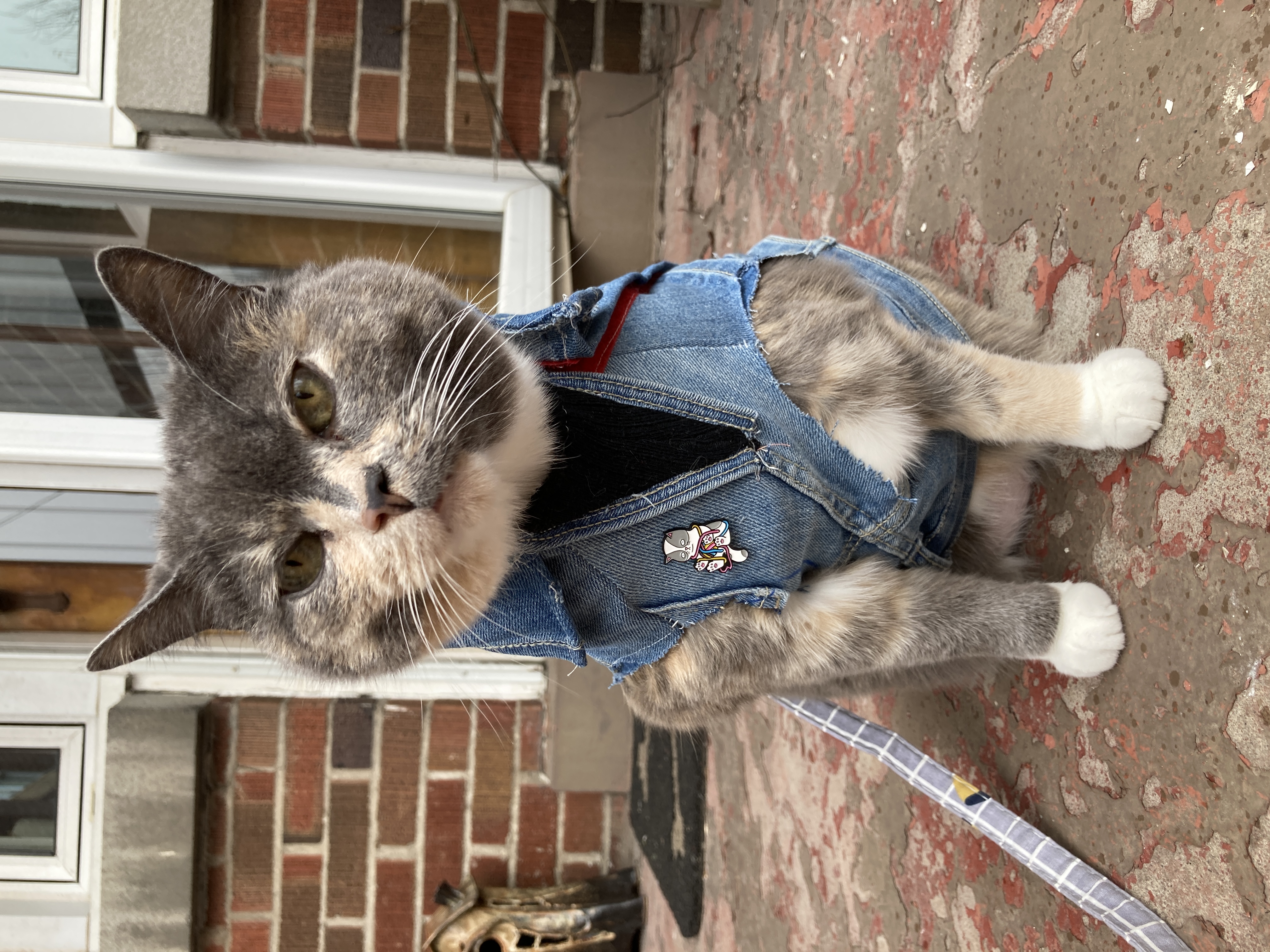 Avatar for Evolve7696