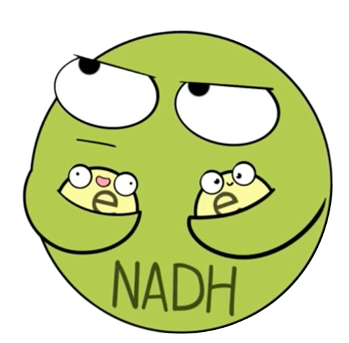 PLMCHM3252BLK1G3AY202223S2's profile picture