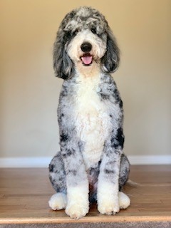 Avatar for Punzi Baker 3