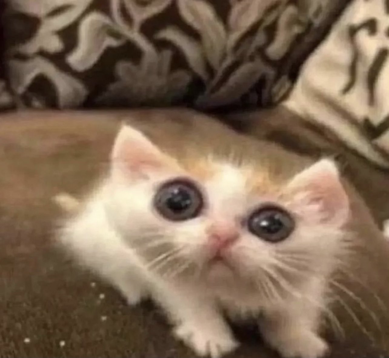 JohnMc's profile picture