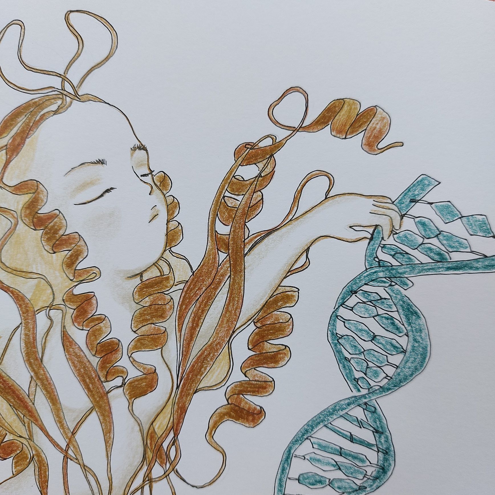 JuliaBCollet's profile picture