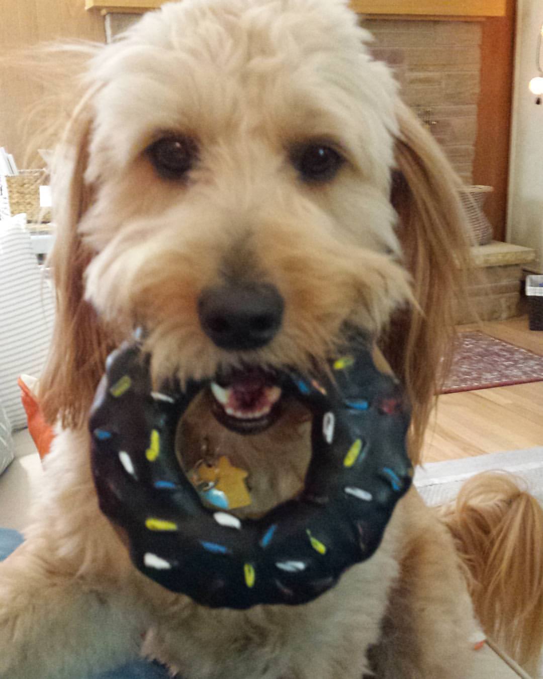 Avatar for MU_BIOCHEM_F2025